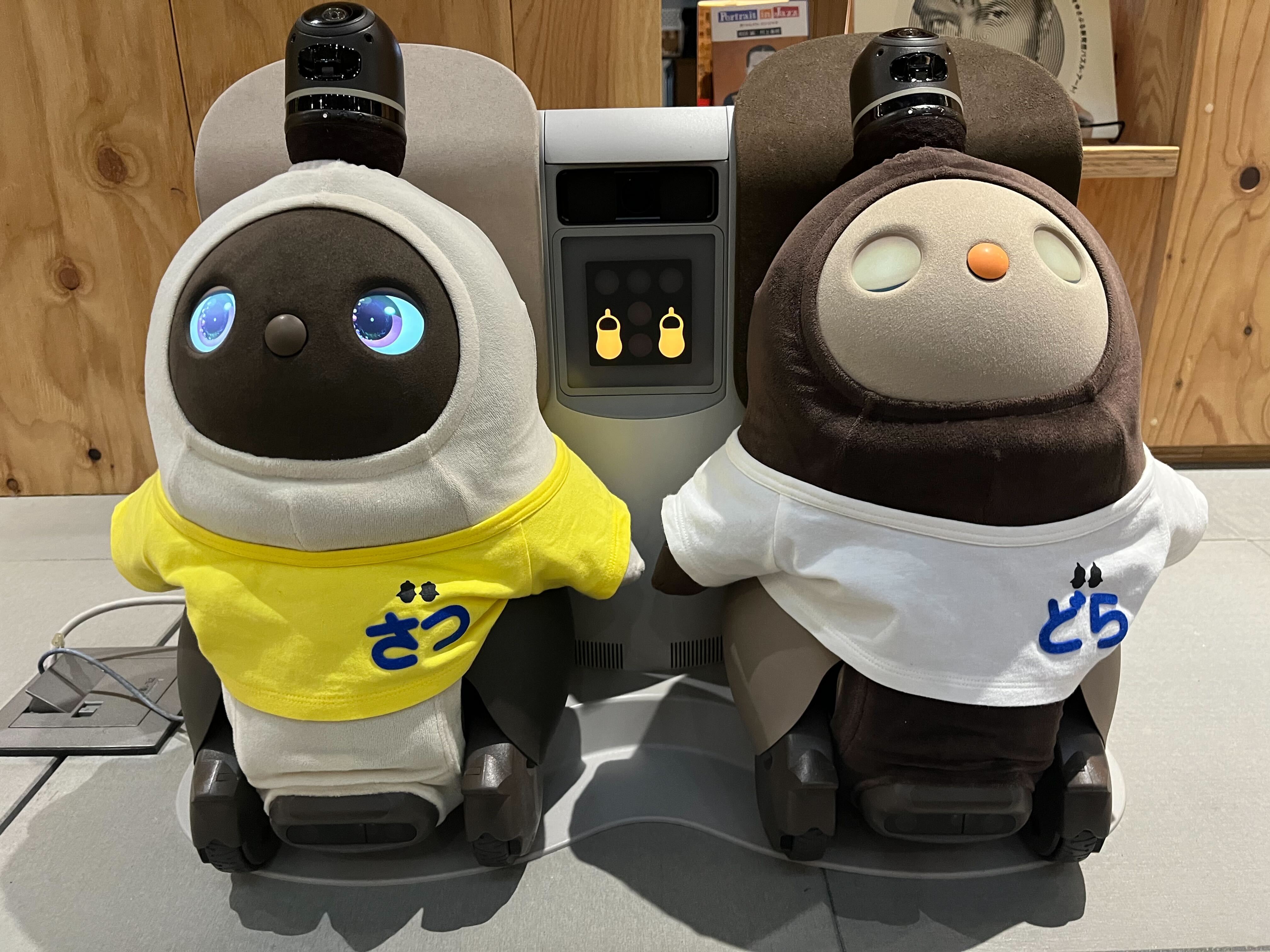 LOVOTが社内カルチャーを体現してくれる！LOVOTは一緒に働く友だち